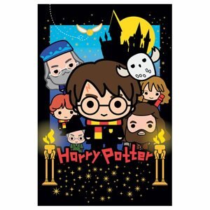 3D puzzle Harry Potter-Harry Potter 300db, W019134